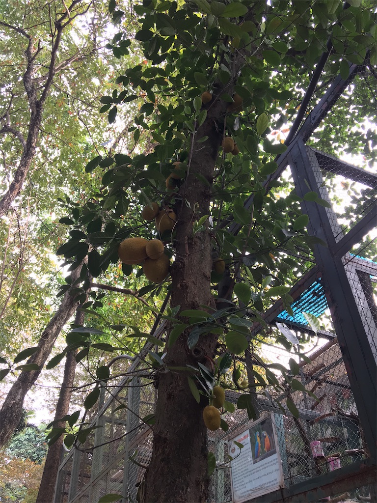 f:id:zabon-inu:20210330122835j:image f:id:zabon-inu:20210330122835j:image