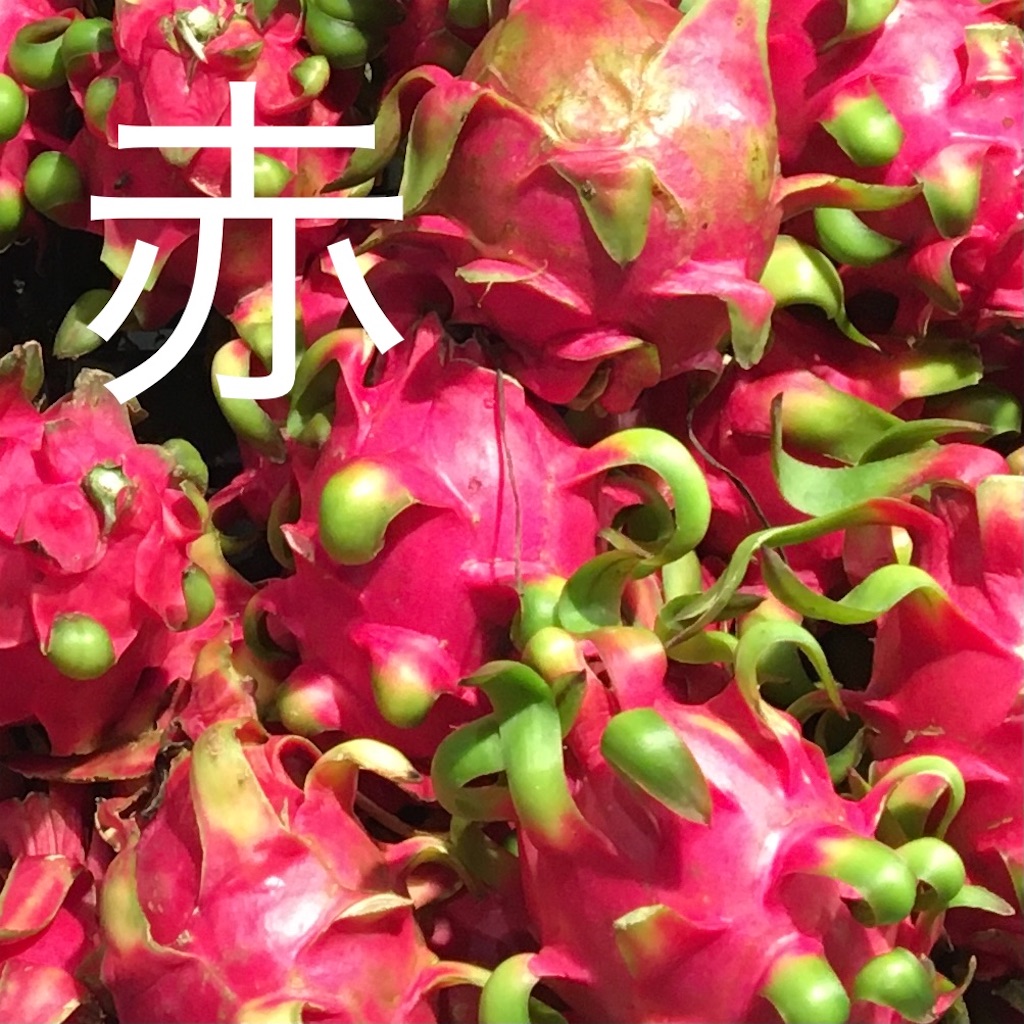 f:id:zabon-inu:20210630131025j:image f:id:zabon-inu:20210630131025j:image