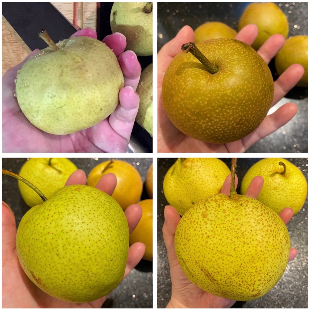 ベトナム ハノイで梨と梨と梨を食べた夏 ハノイ駄日記