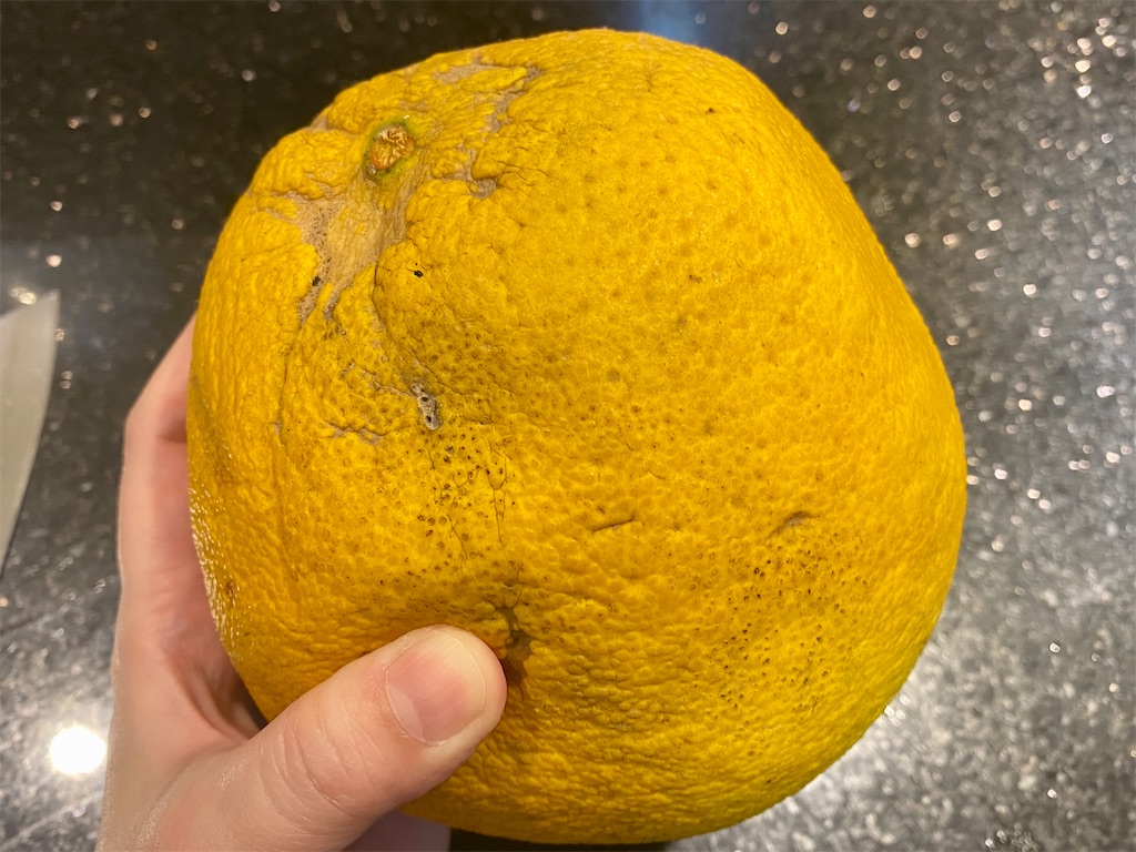 しわしわの皮のザボンを食べてみた ベトナム ハノイ駄日記