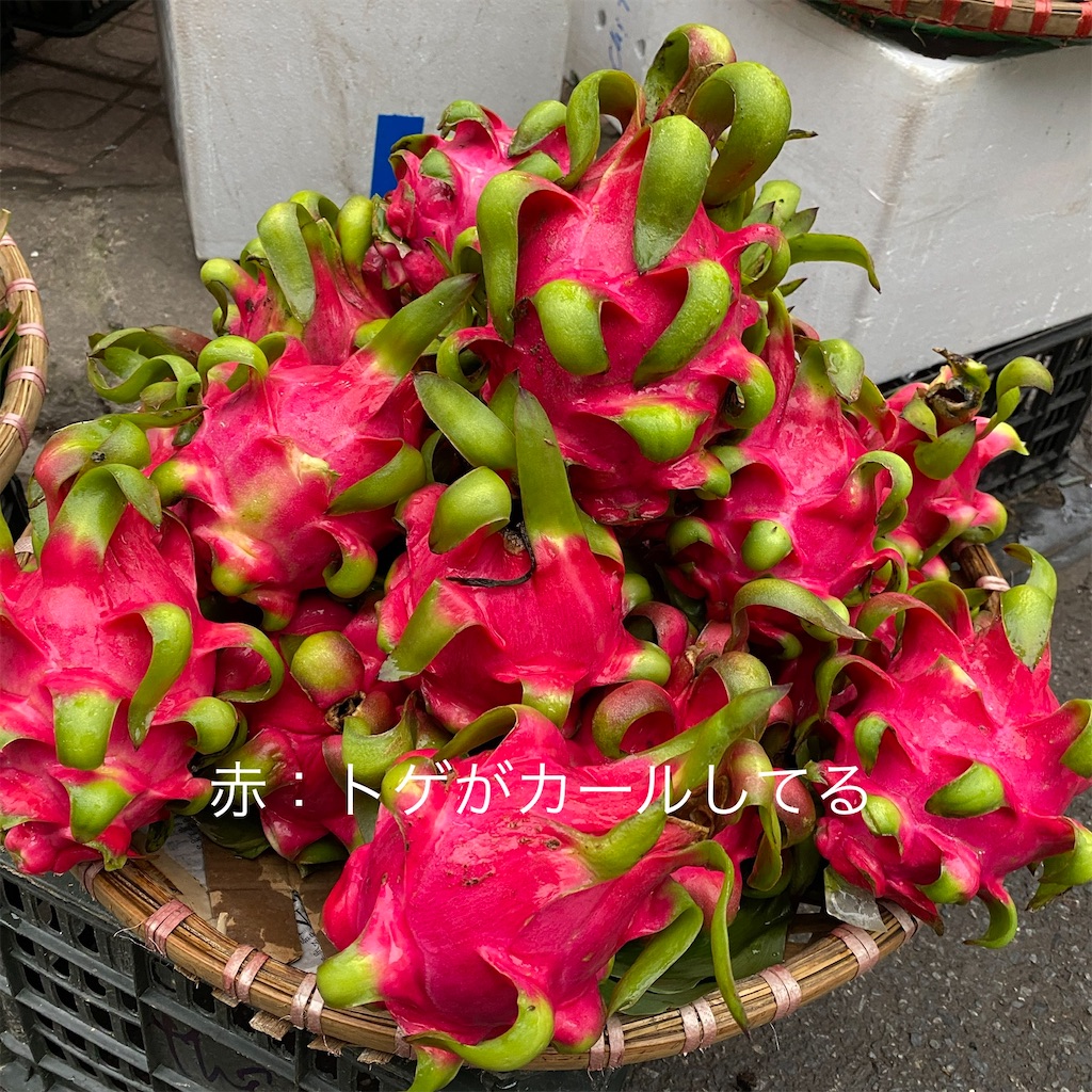 f:id:zabon-inu:20220413173748j:image f:id:zabon-inu:20220413173748j:image