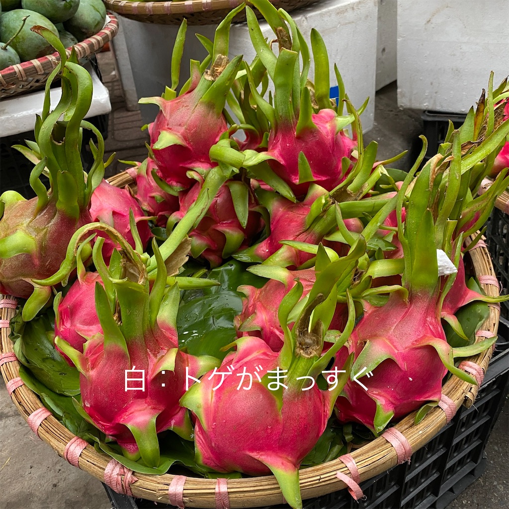 f:id:zabon-inu:20220413173752j:image f:id:zabon-inu:20220413173752j:image