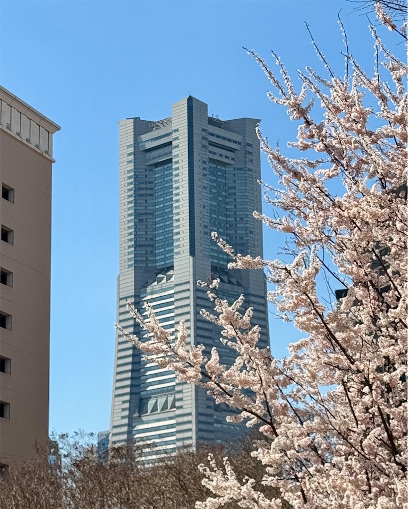 f:id:zabon-inu:20250423082508j:image