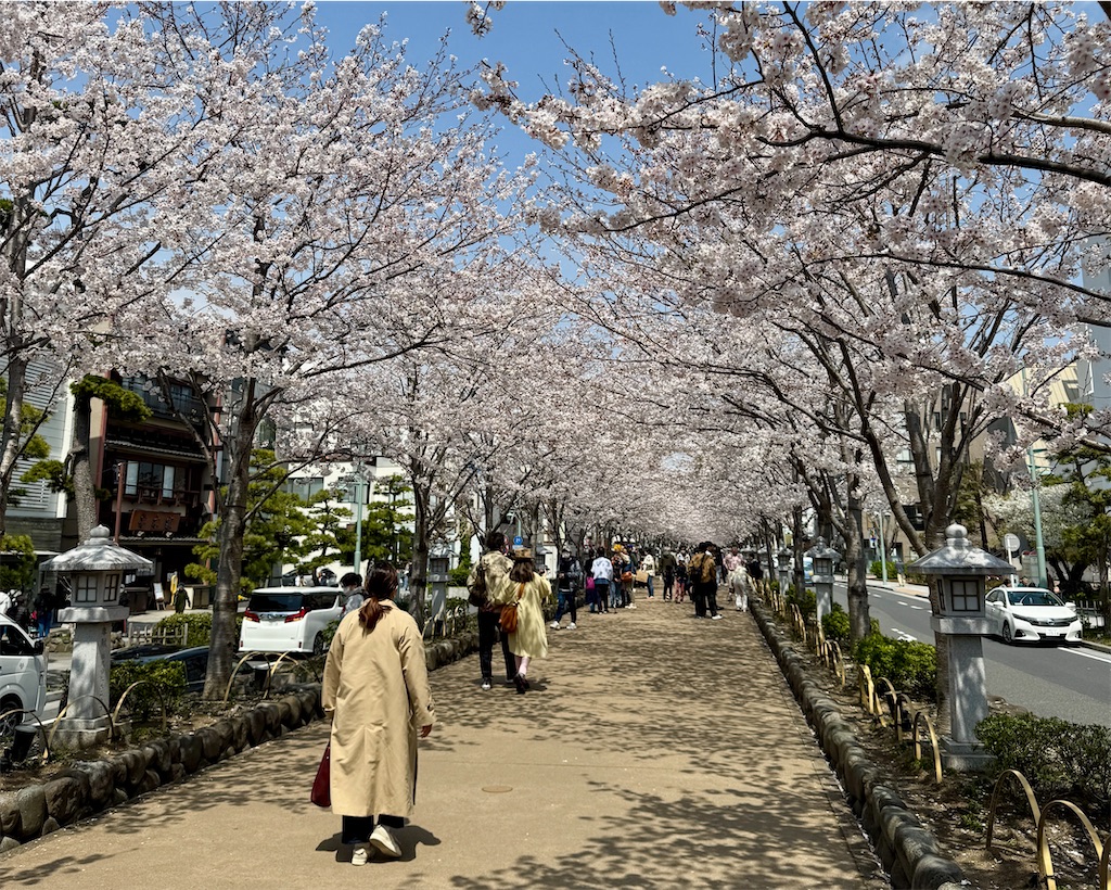 f:id:zabon-inu:20250423082756j:image