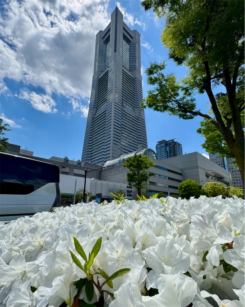 f:id:zabon-inu:20250504103859j:image
