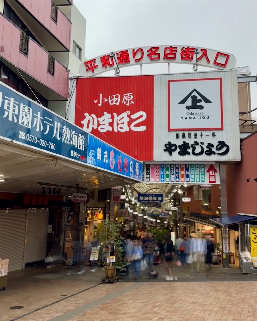 f:id:zabon-inu:20250504104340j:image f:id:zabon-inu:20250504104340j:image