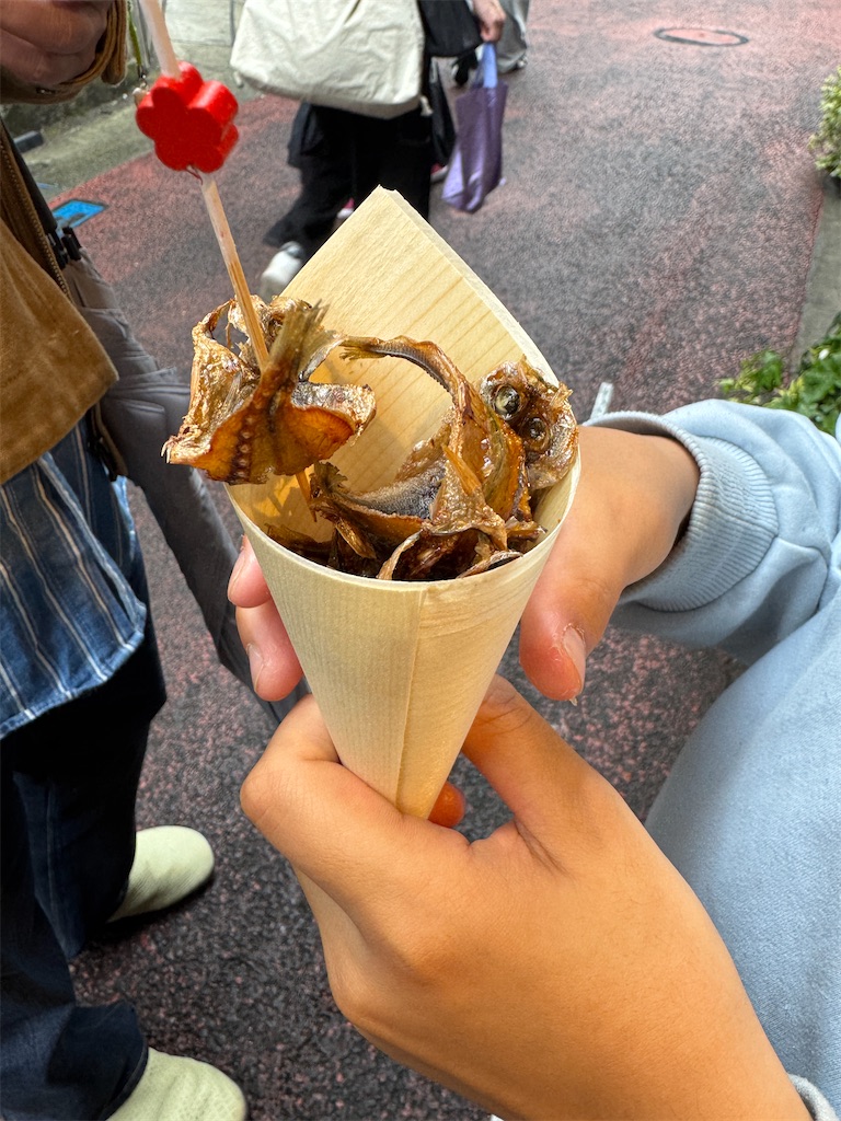 f:id:zabon-inu:20250504105024j:image