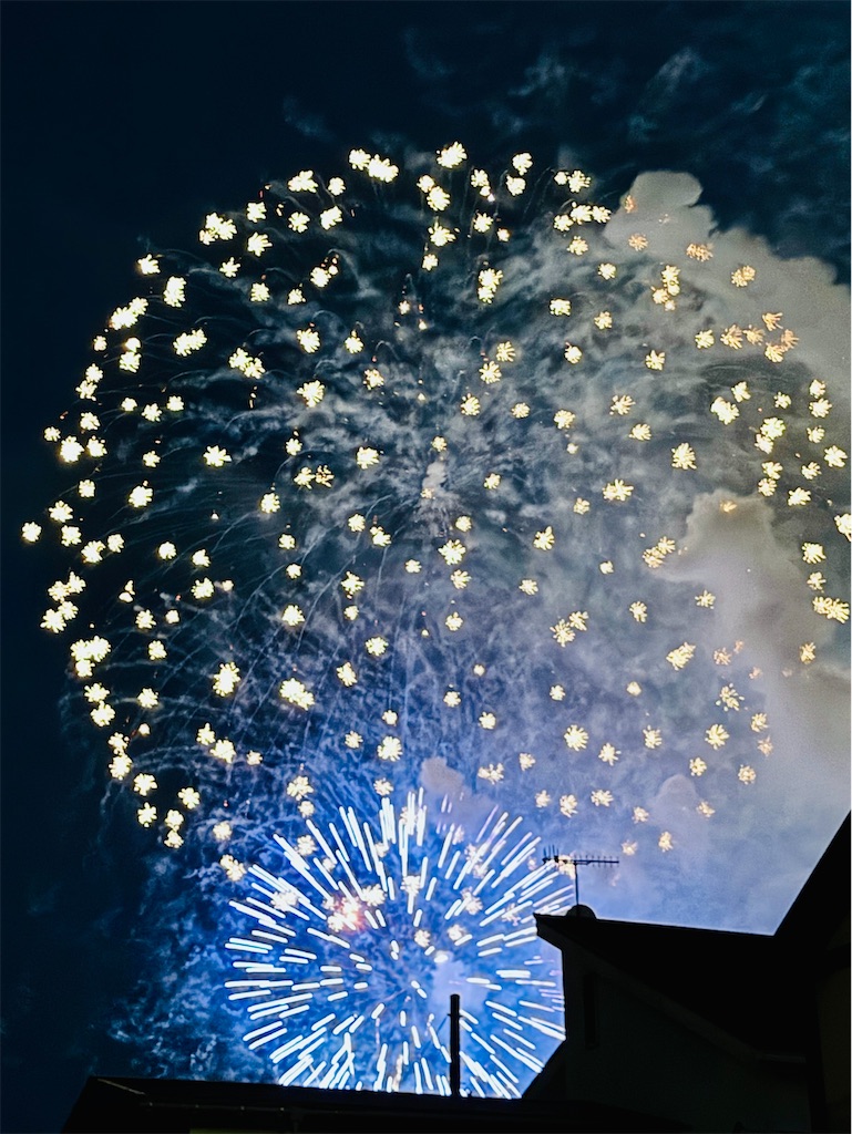 f:id:zabon-inu:20250522225231j:image
