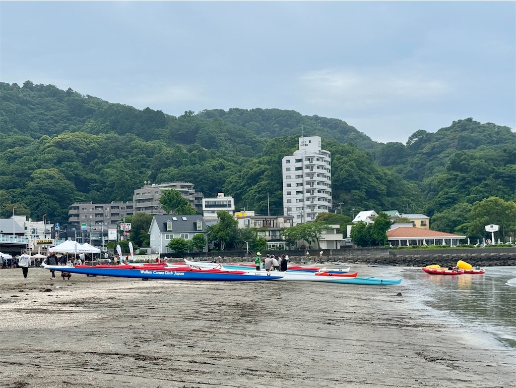 f:id:zabon-inu:20250522225528j:image