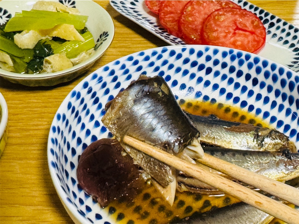 f:id:zabon-inu:20250524190005j:image