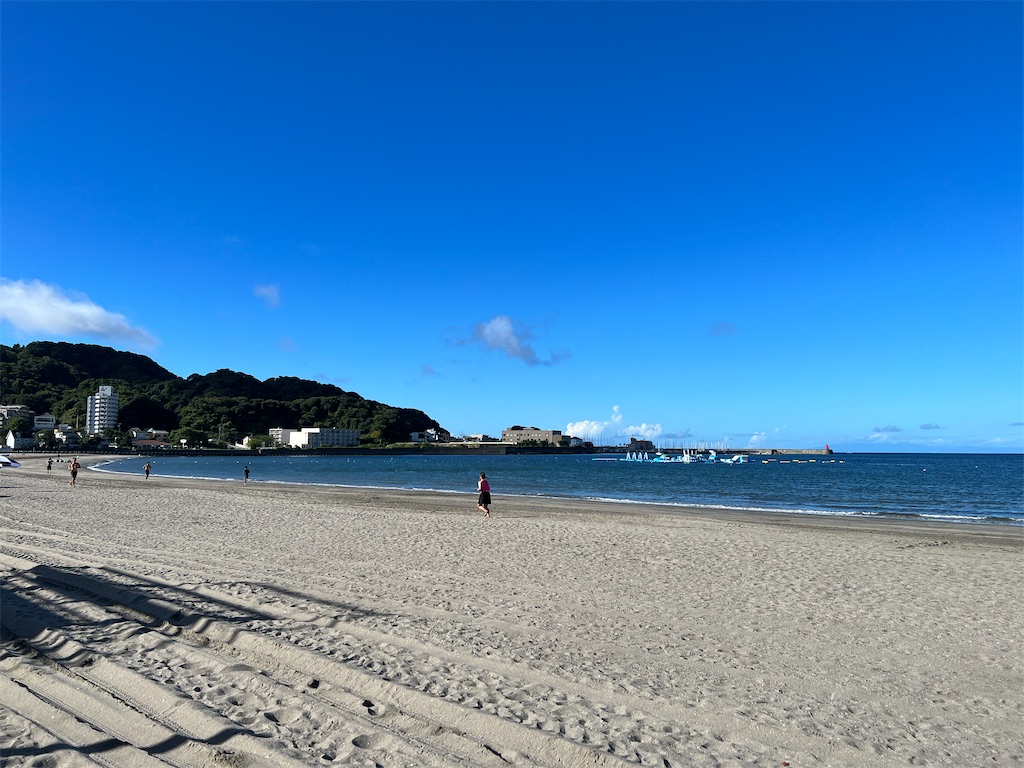 f:id:zabon-inu:20250617085832j:image