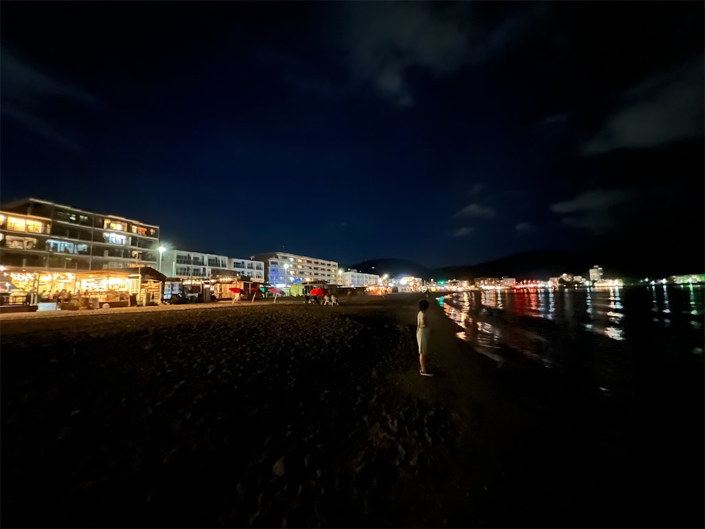 f:id:zabon-inu:20250617085838j:image