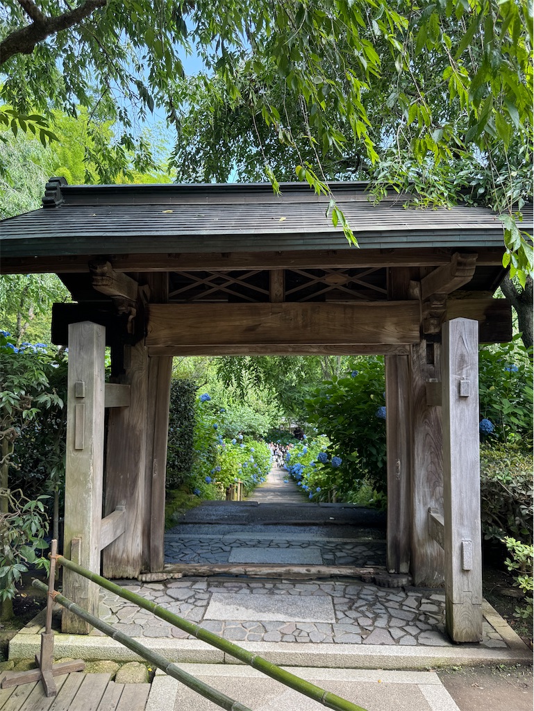 f:id:zabon-inu:20250621161521j:image