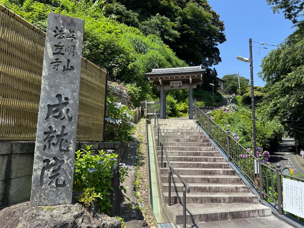 f:id:zabon-inu:20250621161713j:image