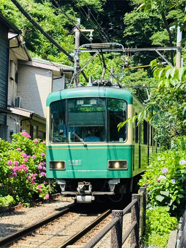 f:id:zabon-inu:20250621161716j:image