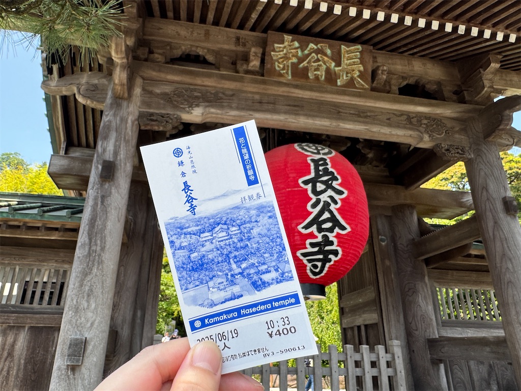 f:id:zabon-inu:20250621161945j:image