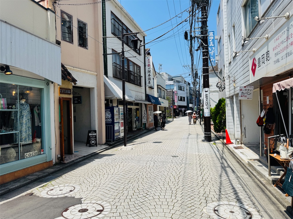 f:id:zabon-inu:20250621162204j:image