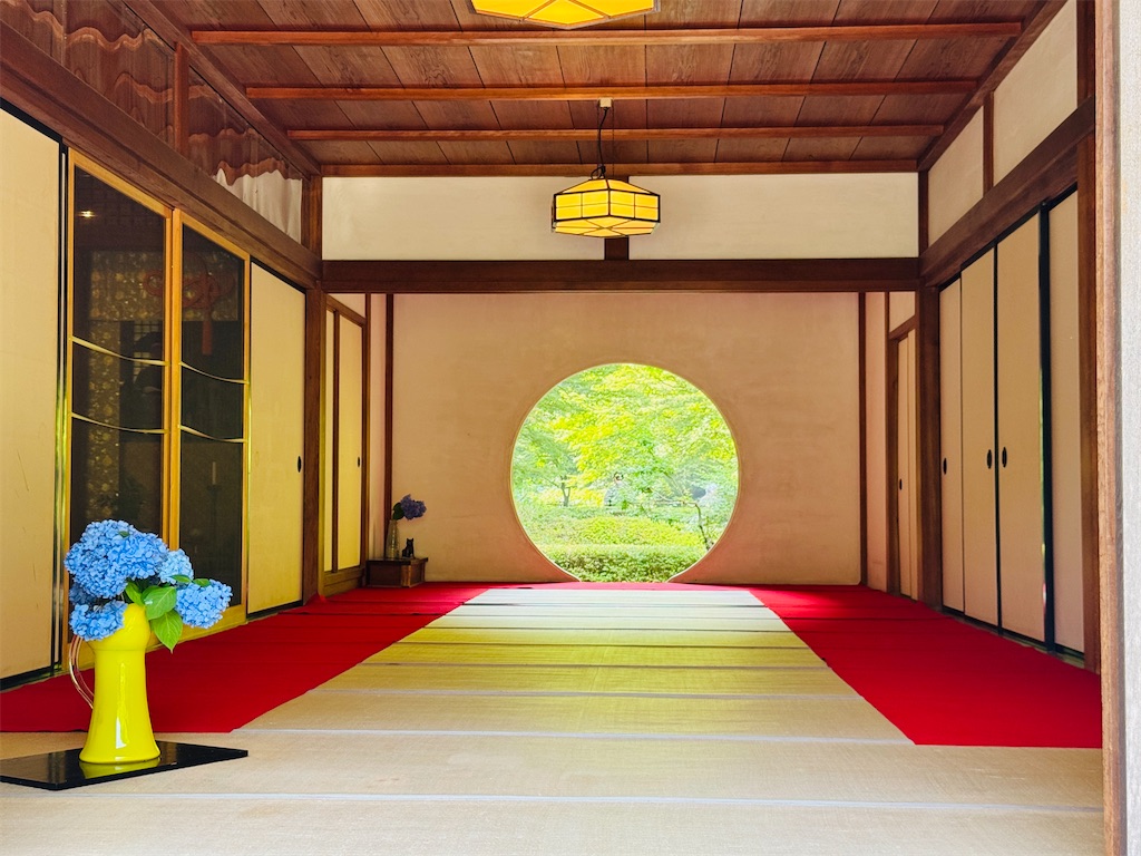 f:id:zabon-inu:20250622111015j:image