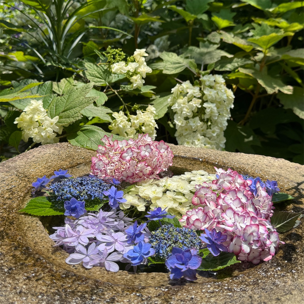 f:id:zabon-inu:20250622111401j:image f:id:zabon-inu:20250622111401j:image