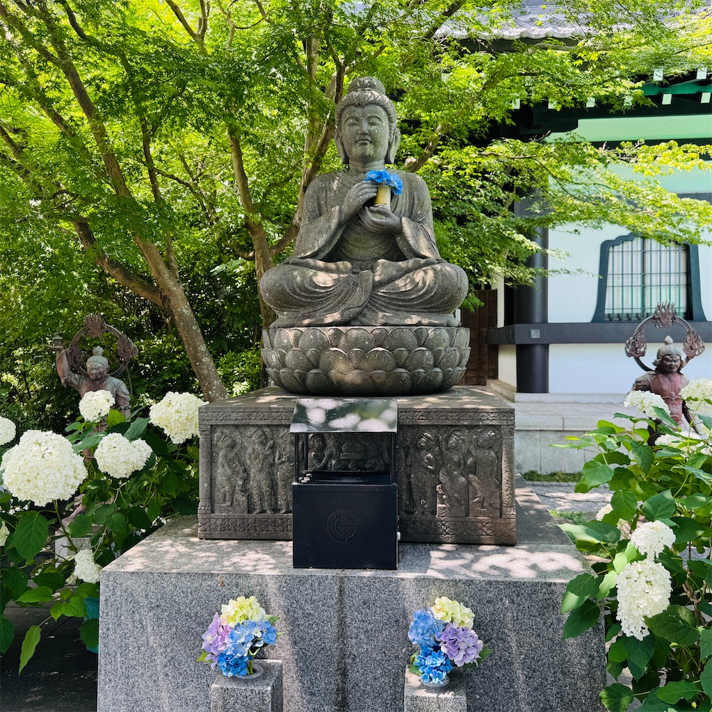 f:id:zabon-inu:20250622111405j:image f:id:zabon-inu:20250622111405j:image