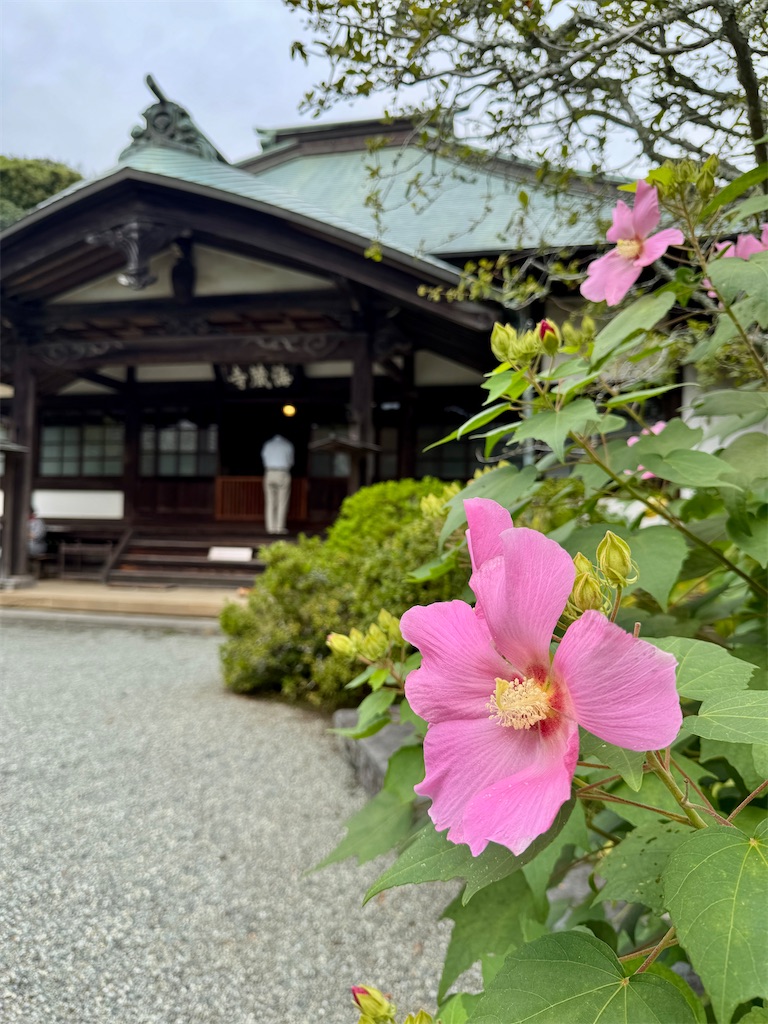 f:id:zabon-inu:20250927133910j:image f:id:zabon-inu:20250927133910j:image