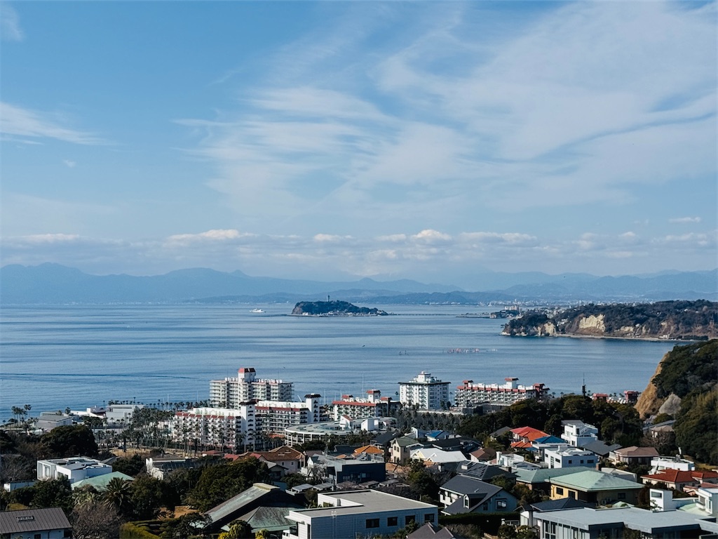 f:id:zabon-inu:20260201090548j:image