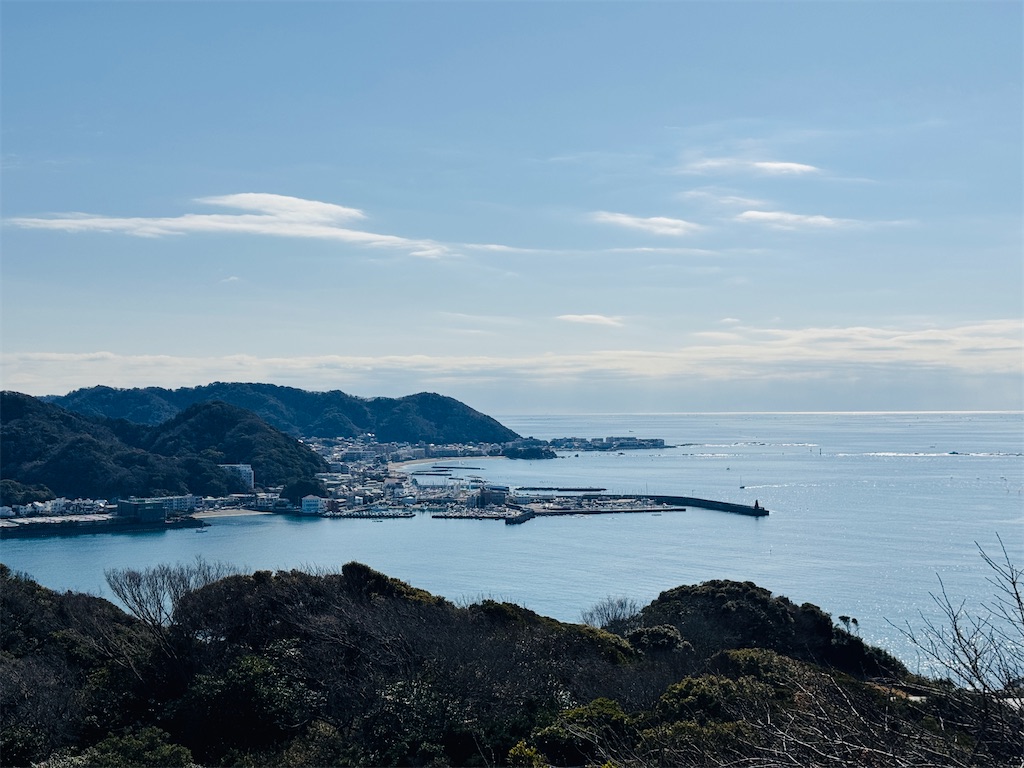 f:id:zabon-inu:20260201090555j:image
