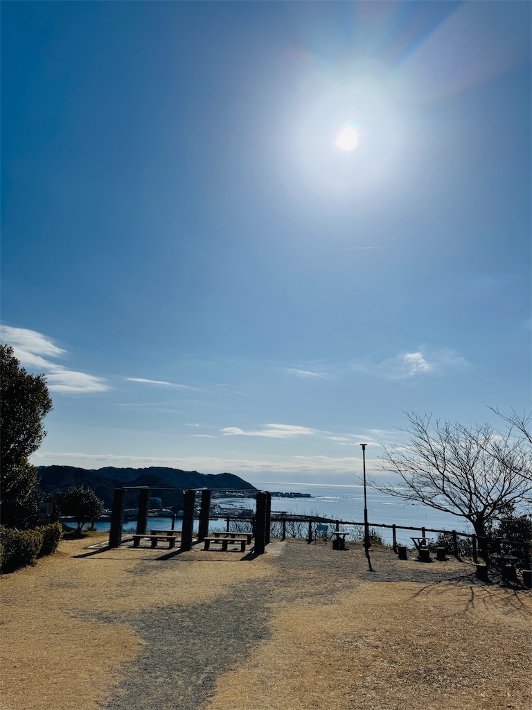 f:id:zabon-inu:20260201090615j:image