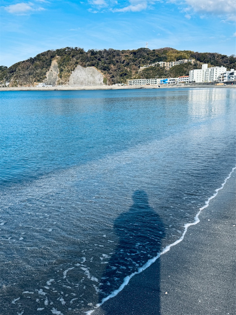 f:id:zabon-inu:20260213080739j:image f:id:zabon-inu:20260213080739j:image