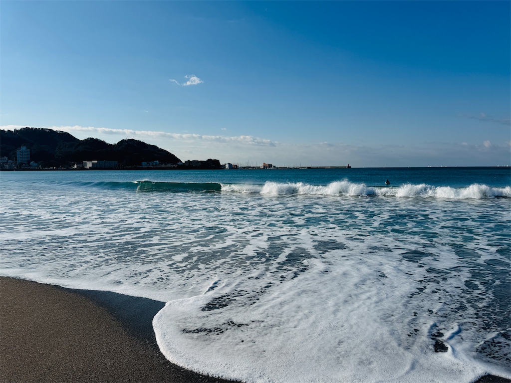 f:id:zabon-inu:20260213085701j:image f:id:zabon-inu:20260213085701j:image