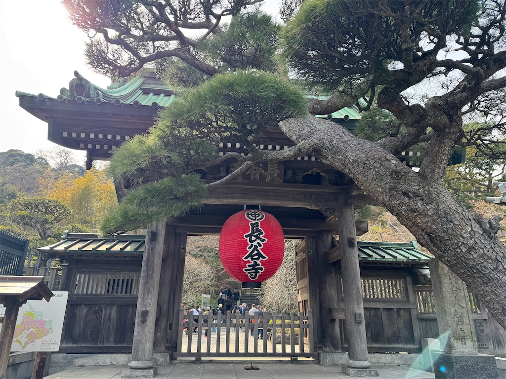f:id:zabon-inu:20260326090119j:image