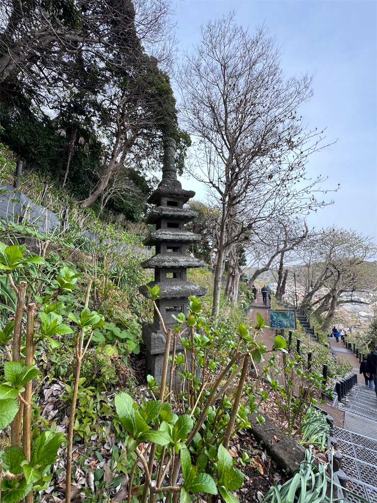 f:id:zabon-inu:20260326090123j:image