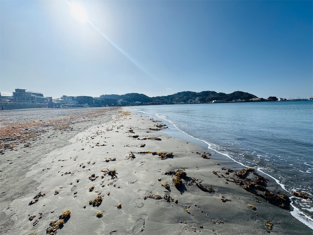 f:id:zabon-inu:20260328085346j:image