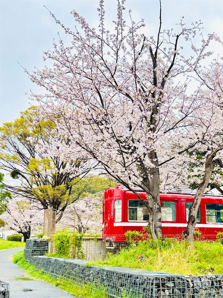 f:id:zabon-inu:20260404163824j:image
