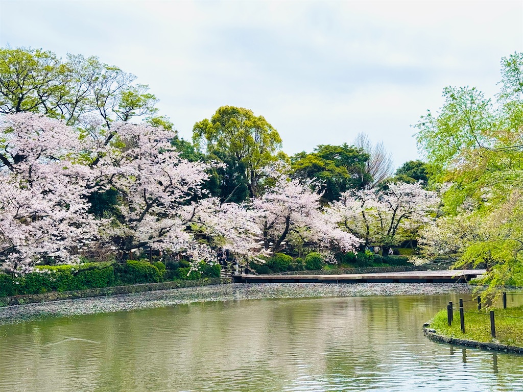 f:id:zabon-inu:20260405170116j:image