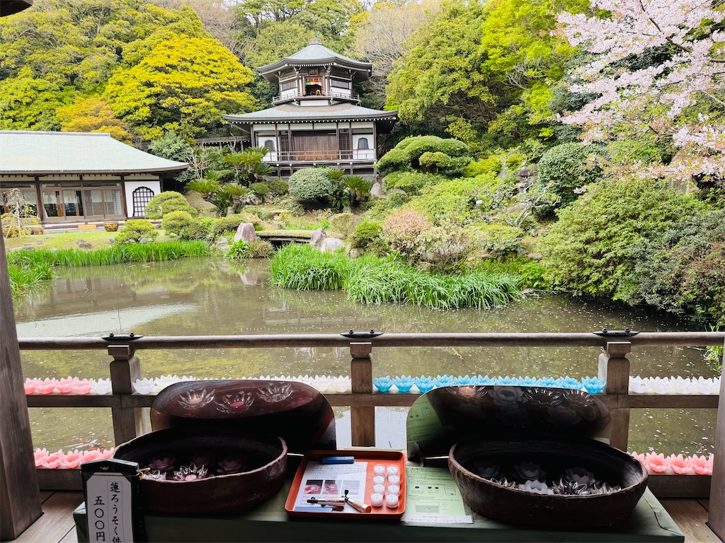 f:id:zabon-inu:20260405170119j:image