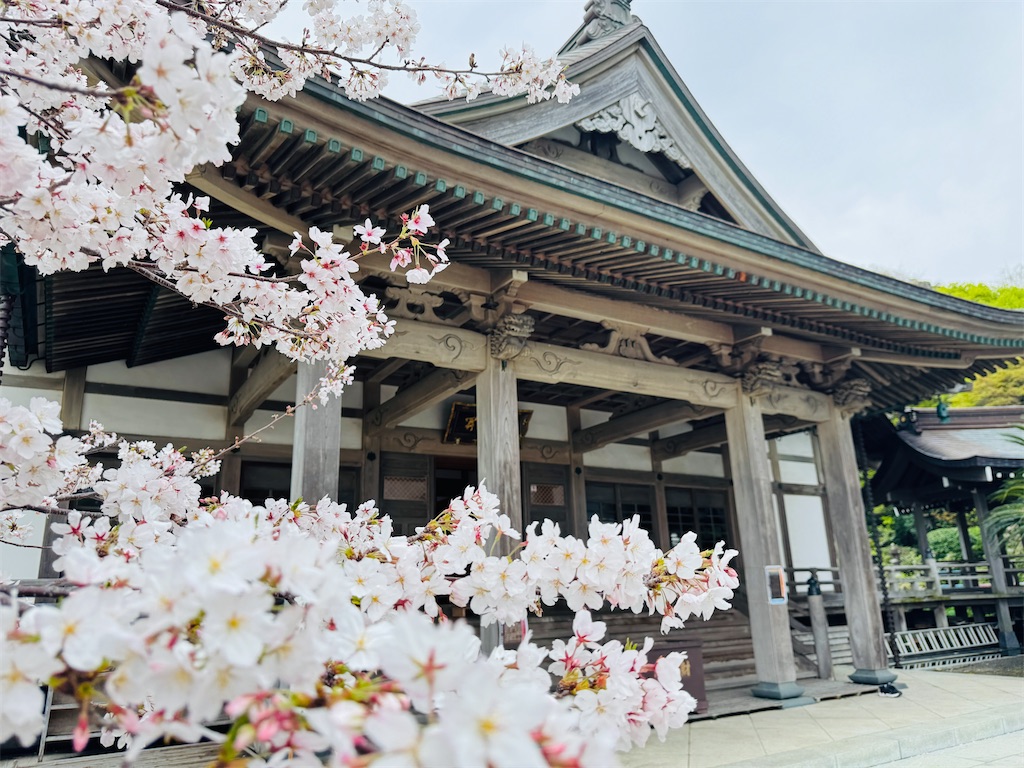 f:id:zabon-inu:20260405170128j:image