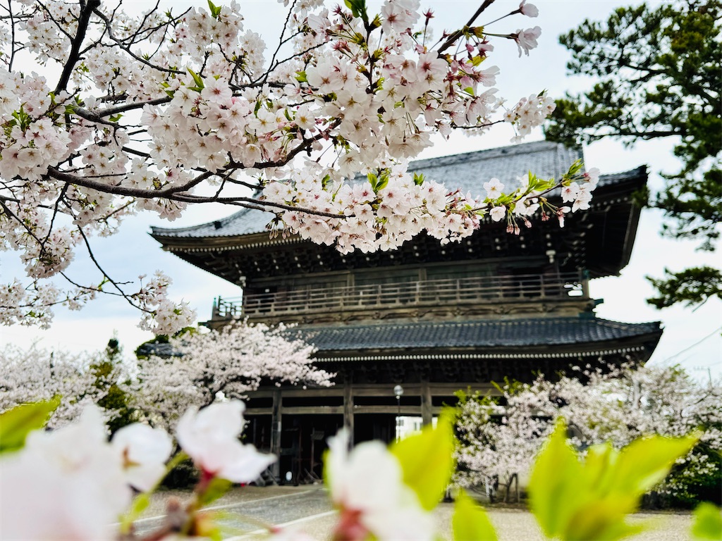 f:id:zabon-inu:20260405170132j:image