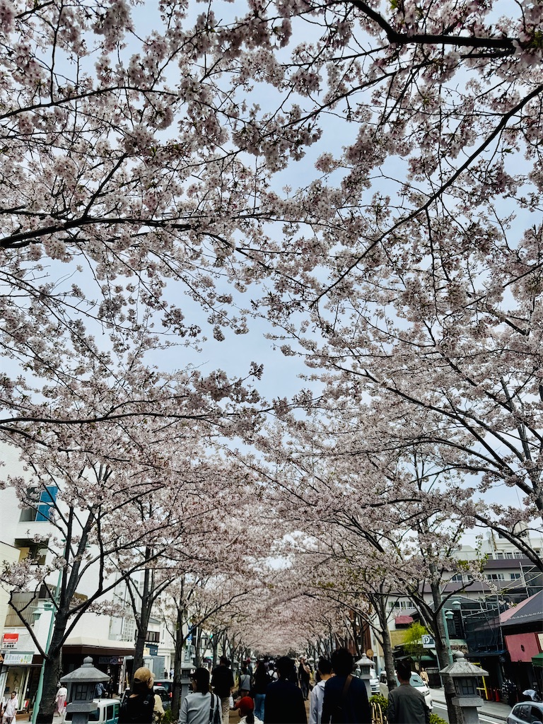 f:id:zabon-inu:20260405170138j:image