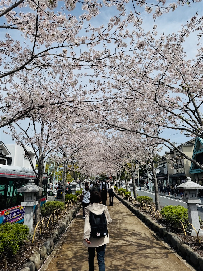 f:id:zabon-inu:20260405170153j:image