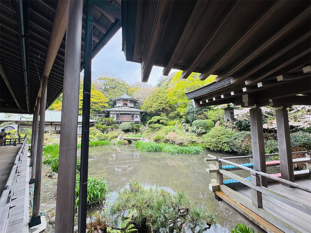 f:id:zabon-inu:20260405170156j:image