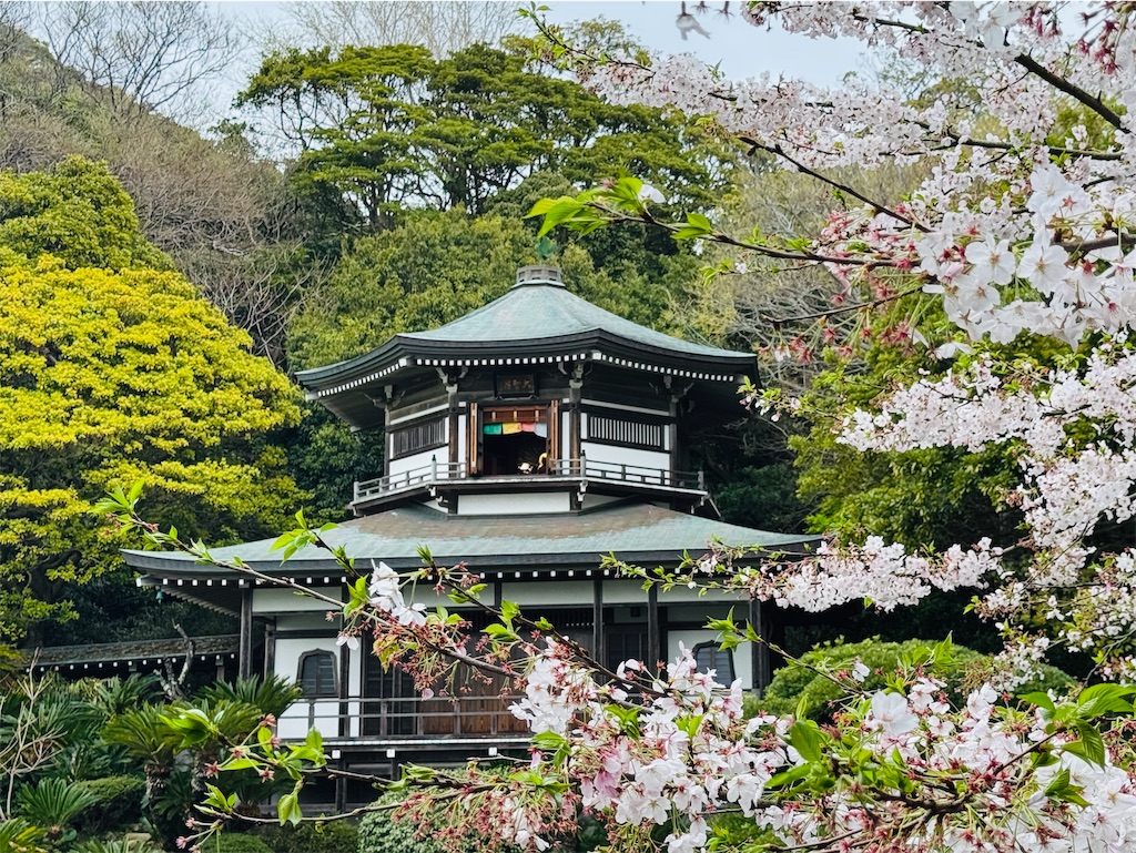 f:id:zabon-inu:20260405170200j:image