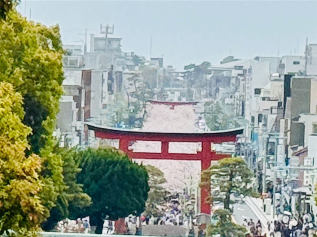 f:id:zabon-inu:20260405170449j:image
