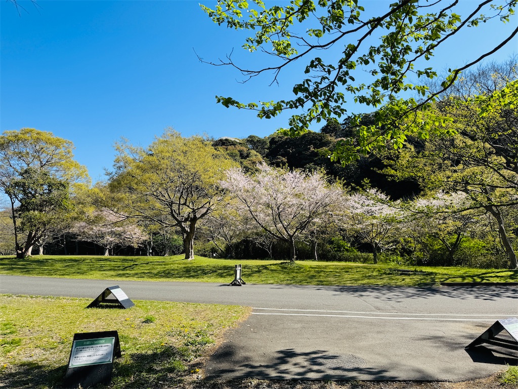 f:id:zabon-inu:20260410084612j:image f:id:zabon-inu:20260410084612j:image