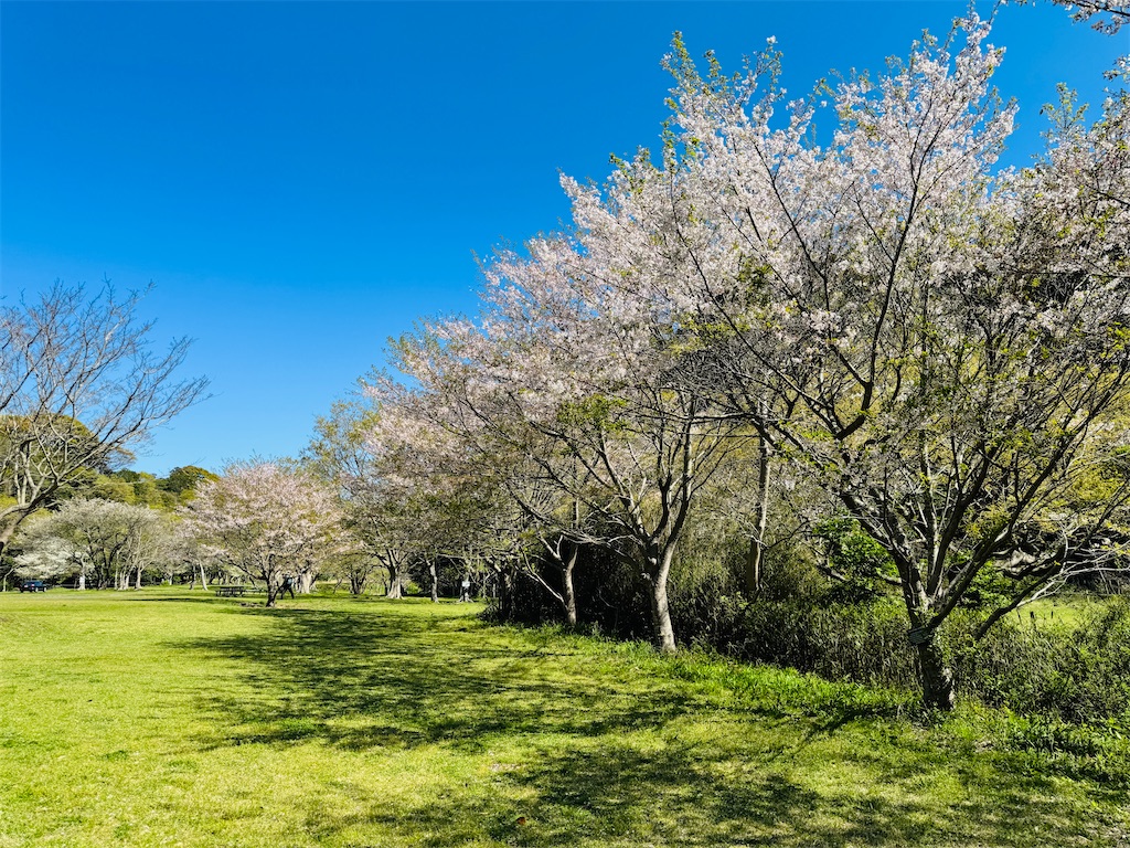 f:id:zabon-inu:20260410084901j:image f:id:zabon-inu:20260410084901j:image