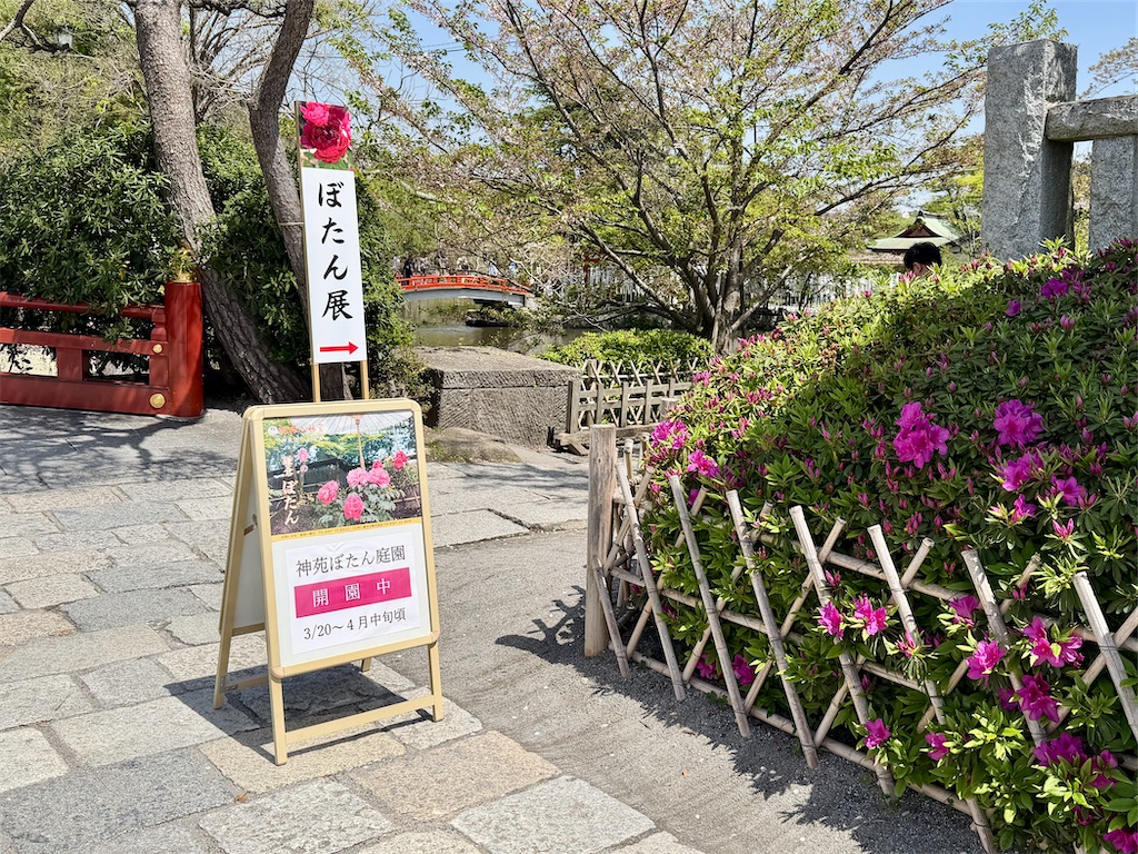 f:id:zabon-inu:20260411154425j:image