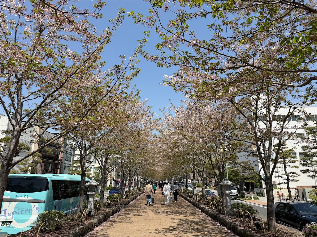 f:id:zabon-inu:20260411154446j:image