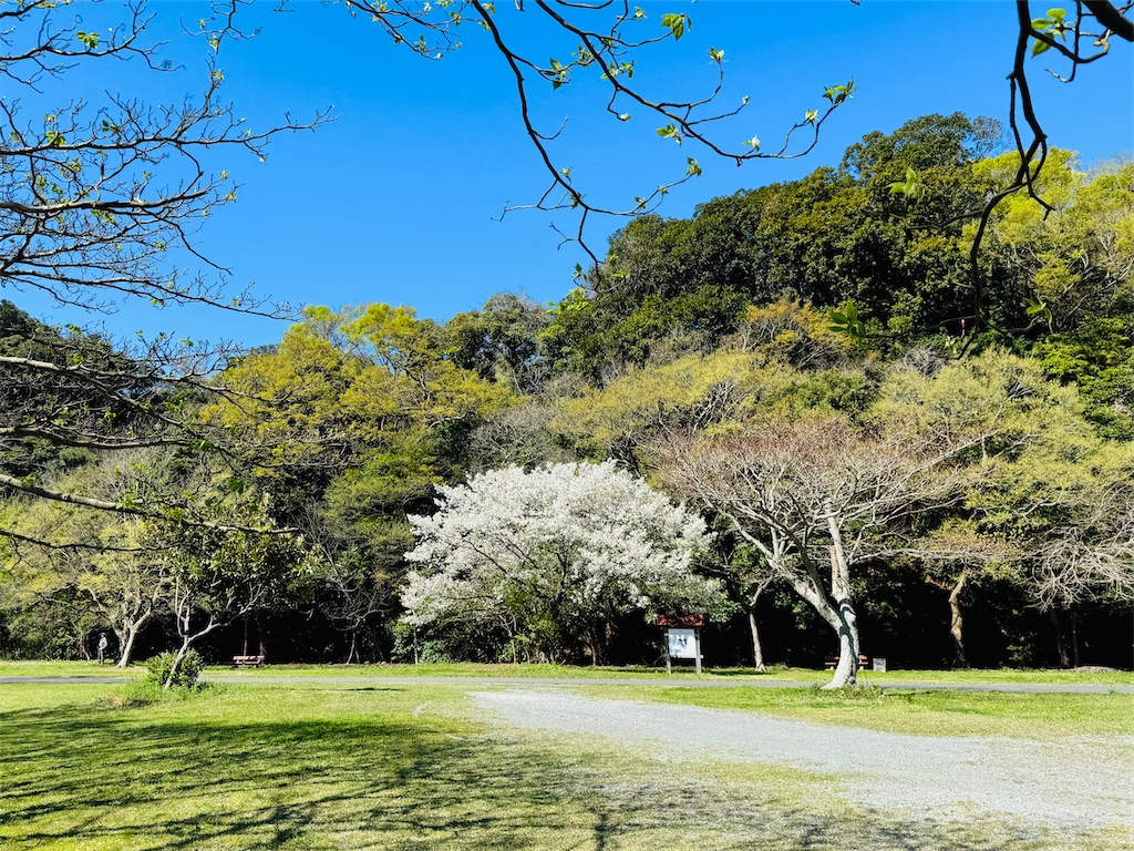 f:id:zabon-inu:20260411162257j:image f:id:zabon-inu:20260411162257j:image