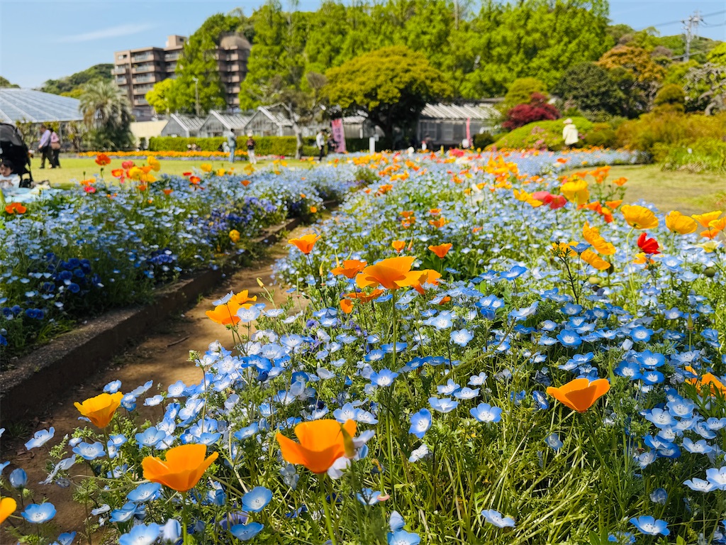 f:id:zabon-inu:20260419173322j:image