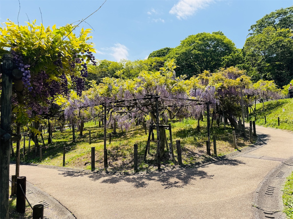 f:id:zabon-inu:20260426152241j:image